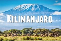 Mt. Kilimanjaro Trek